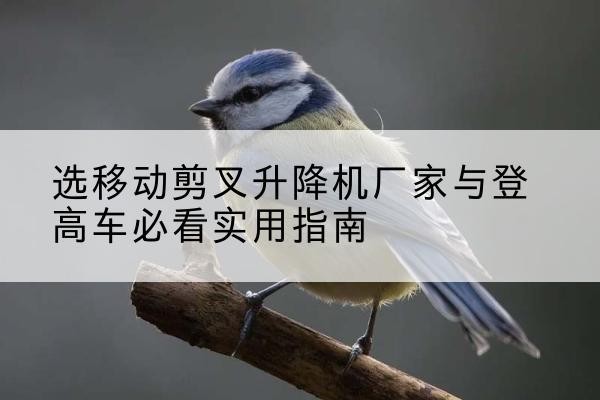 鄂尔多斯电动升降机厂家-选移动剪叉升降机厂家与登高车必看实用指南