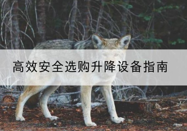 鄂尔多斯升降货梯厂家推荐-*安全选购升降设备指南