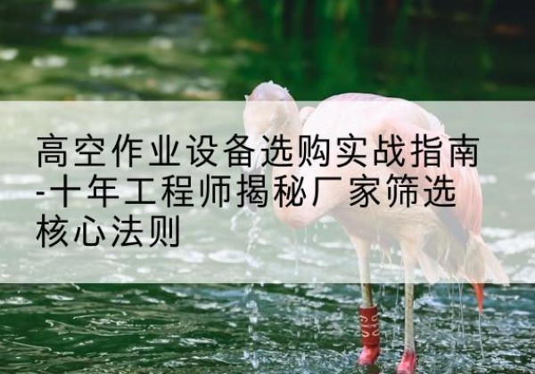 鄂尔多斯剪叉式升降机厂家-高空作业设备选购实战指南-十年工程师揭秘厂家筛选核心法则